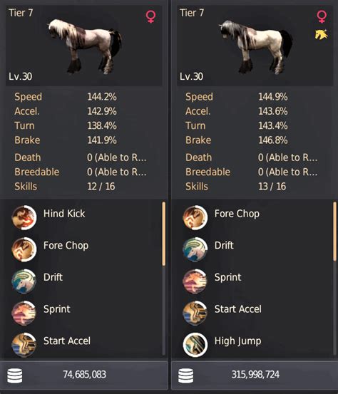 bdo horse skill guide.